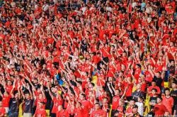 关于赛地聚焦：德甲赛后热度飙升；山东泰山刷新队史纪录；压力陡增；球探报告显示潜力的信息-开云平台app